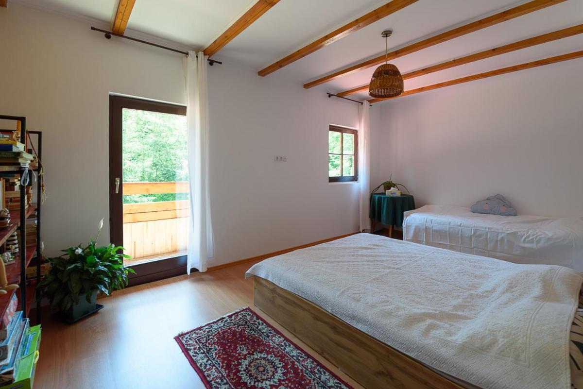 Susurul Apei Chalet Porumbacu de Sus Extérieur photo