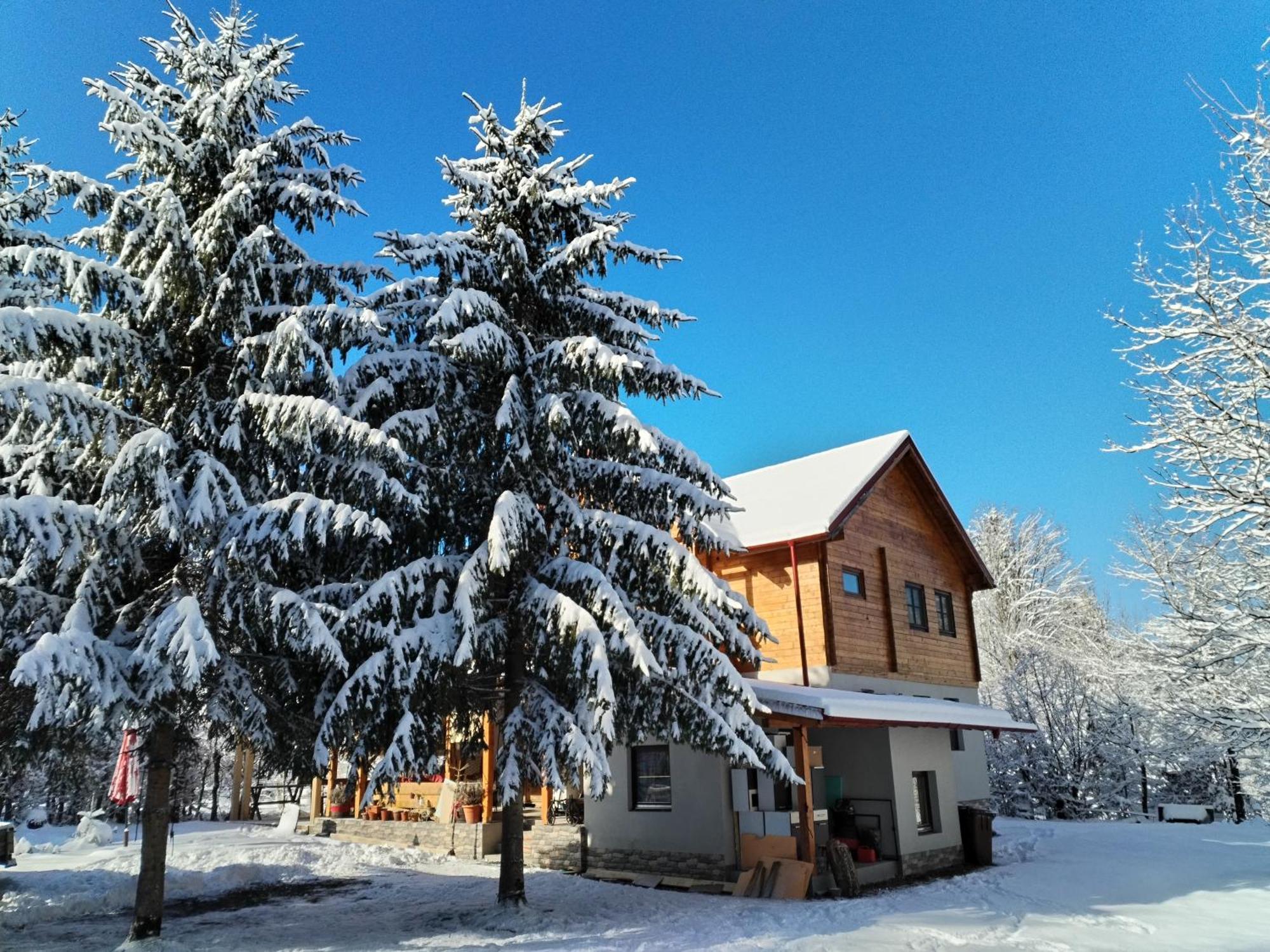 Susurul Apei Chalet Porumbacu de Sus Chambre photo