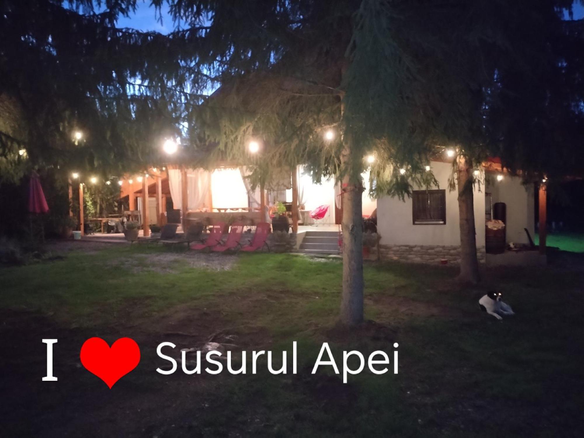 Susurul Apei Chalet Porumbacu de Sus Extérieur photo